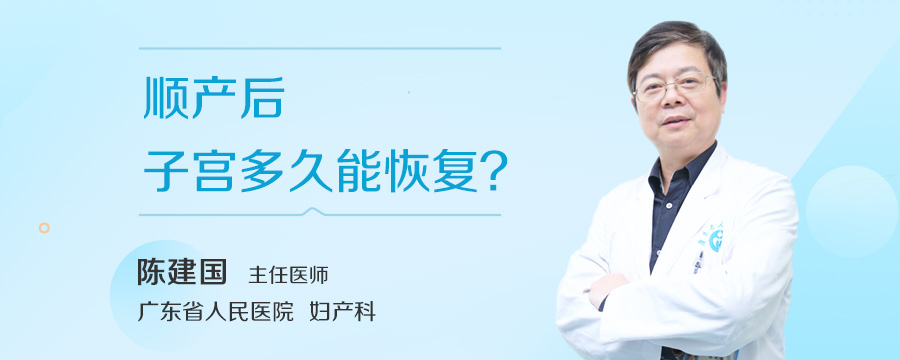 顺产后子宫多久能恢复