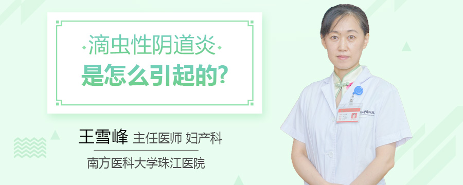 滴虫性阴道炎是怎么引起的