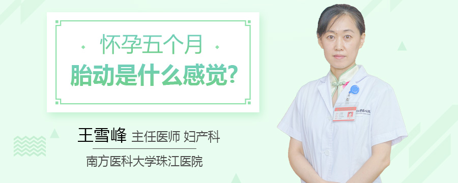 怀孕五个月胎动是什么感觉