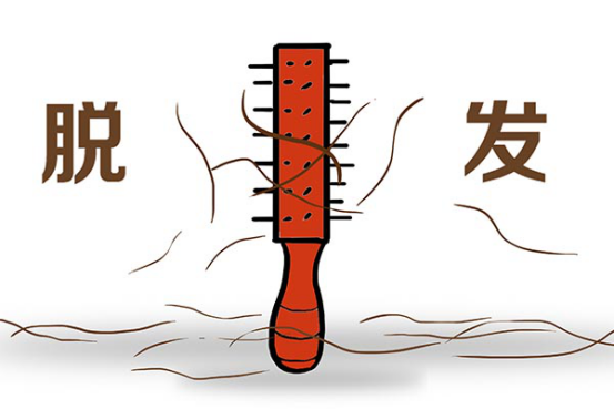气血不足与脱发的关系