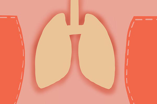 肺在哪个位置