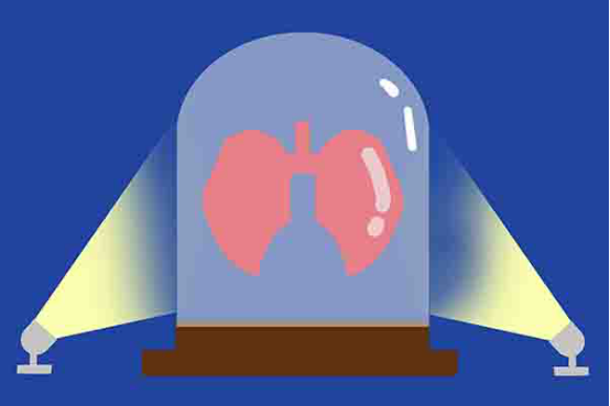 两肺纹理增多是什么意思