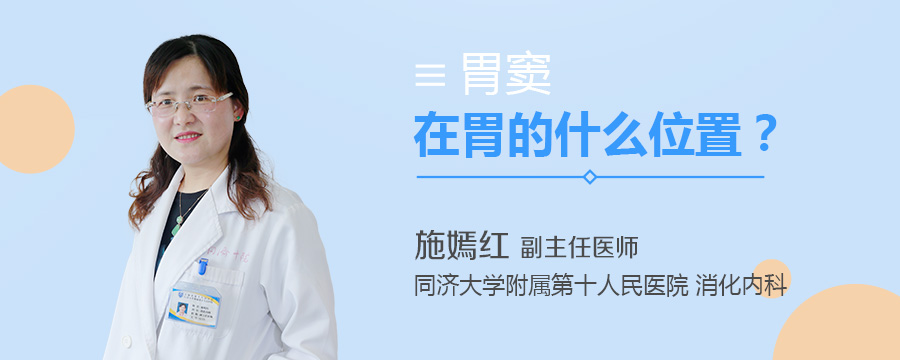 胃窦在胃的什么位置