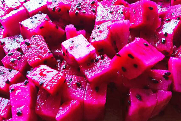 吃红心的火龙果拉红色的屎是正常的。