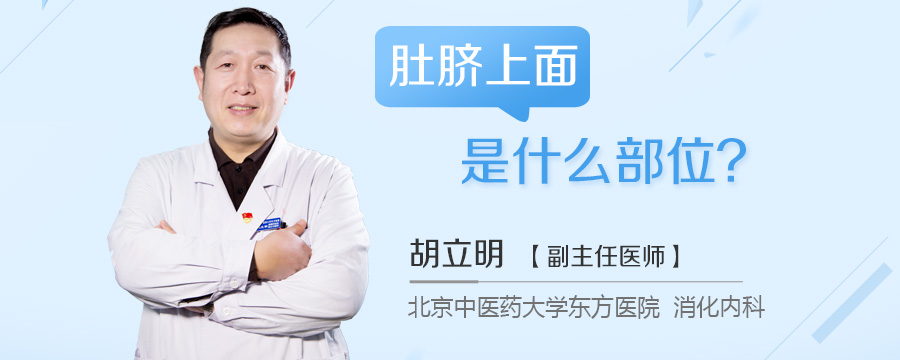 肚脐上面是什么部位