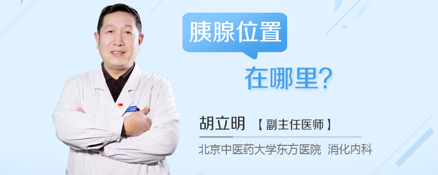 胰腺位置在哪里