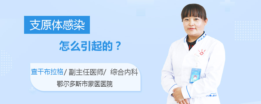 支原体感染怎么引起的