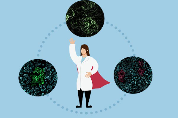 抗体是一种可以鉴别外来物质的细胞。