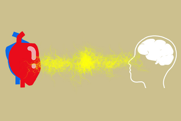 病情比较严重的神经紊乱患者，会出现头晕、身体乏力以及胸口痛的现象。