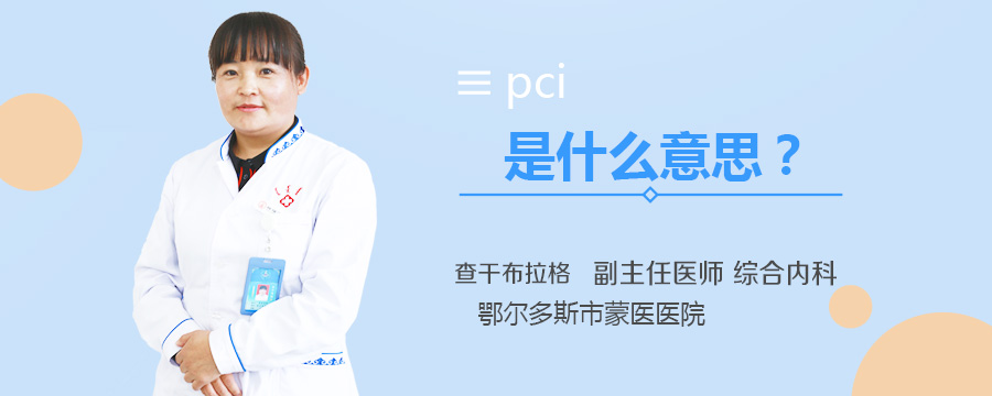 pci是什么意思