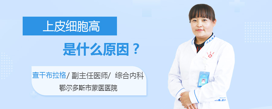上皮细胞高是什么原因