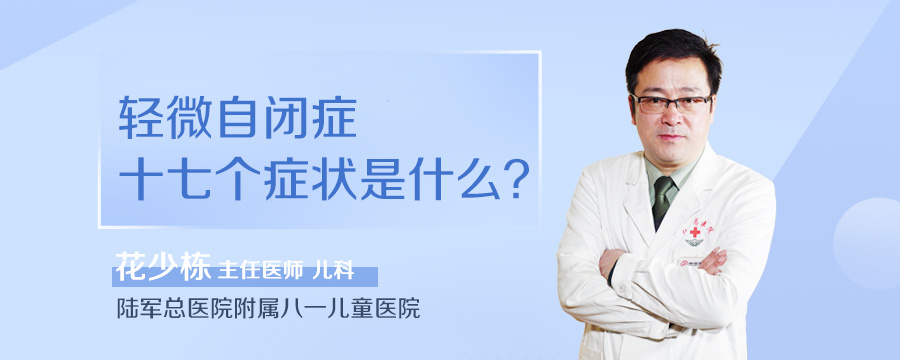 轻微自闭症十七个症状是什么