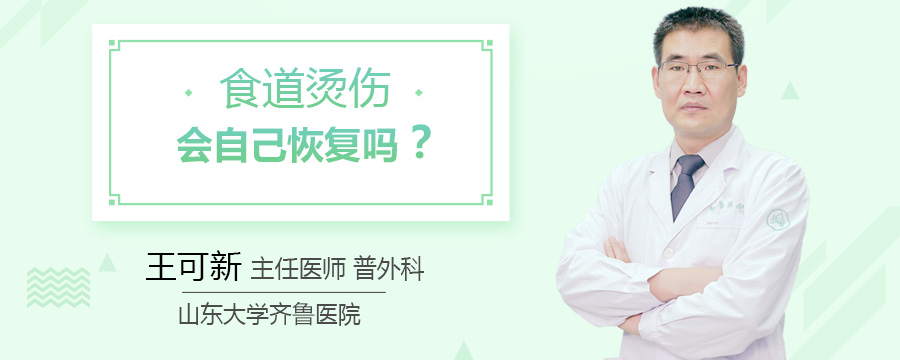 食道烫伤会自己恢复吗