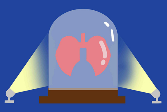 肺炎泡泡和正常泡泡有什么区别