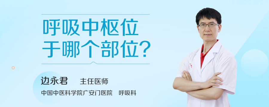 呼吸中枢位于哪个部位