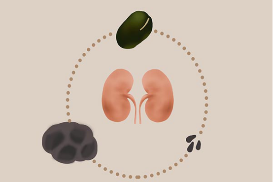 肾脏功能下降，不仅影响的是人们的身体健康，也会对人们的精气有一定的影响，所以如果在平时生活中出现了肾虚的问题，建议大家及时采取措施补肾，对身体健康有好处。