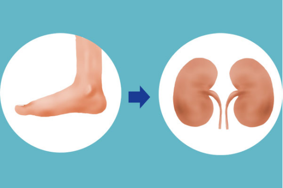 肾不好的人，还有很明显的症状就是小腿部位很容易会发酸，同时排尿的次数会增多，尤其是在夜间的时候排尿的次数会增多。