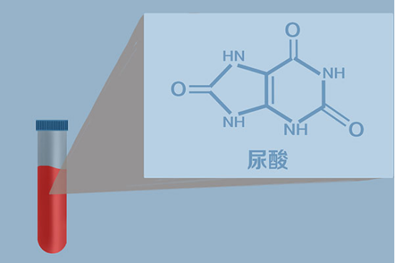 要想降尿酸，多喝水是很重要的，同时大家还需要注意要多锻炼，促进身体的新陈代谢，还要少吃一些嘌呤含量很高的食物，避免嘌呤的水平升高。