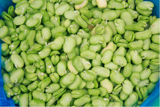 尿酸高是跟人们体内的嘌呤代谢紊乱有很大关系的一种问题