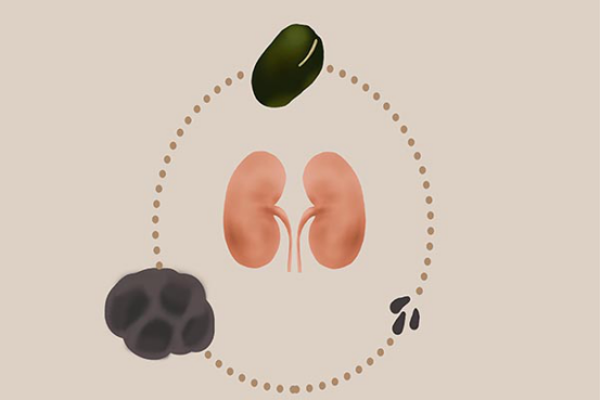 吃生蚝对肾有一定的好处