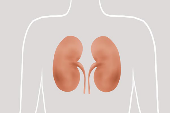 患者出现食欲不振、恶心以及呕吐的不适症状