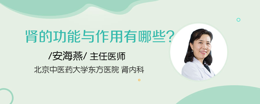 肾的功能与作用有哪些