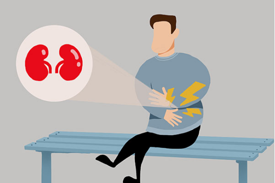 肾积水的原因与患上了尿路结石有关