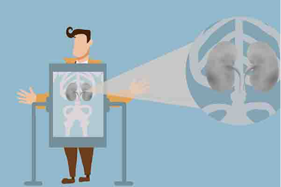 　肾结石患者不能吃菠菜，因为菠菜含有的草酸成分比较多