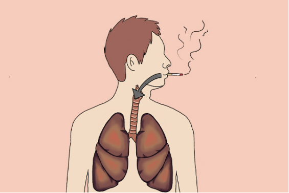 肺部保养，可以适当多喝点豆浆，豆浆是豆制品的一种