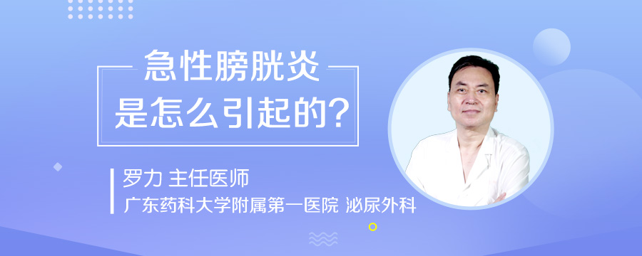 急性膀胱炎是怎么引起的