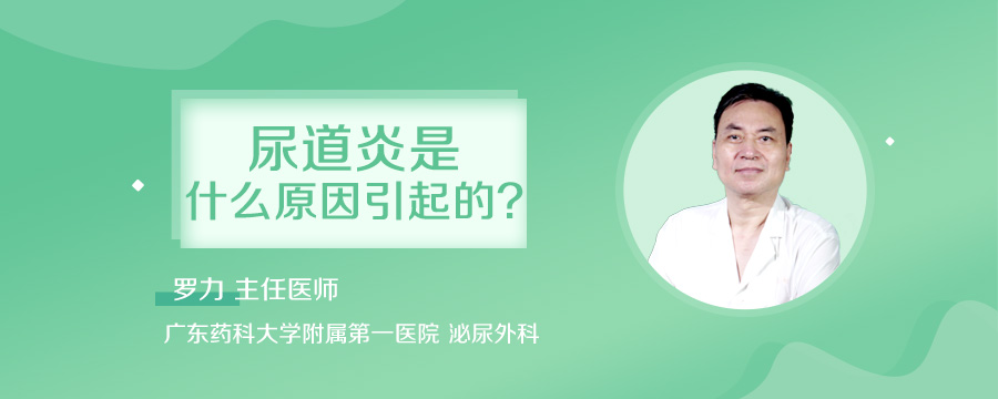 尿道炎是什么原因引起的