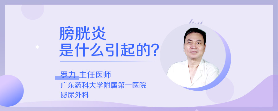 膀胱炎是什么引起的