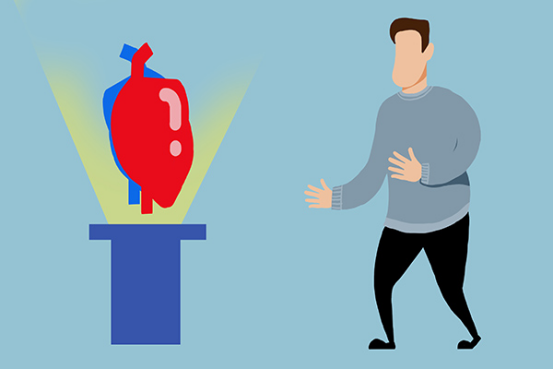 心脏部位的跳动是有一定的规律的 心脏部位的跳动是有一定的规律的