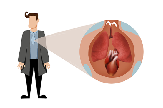 某一天出现心脏突然跳的很快的症状，通常是因为休息不足造成的