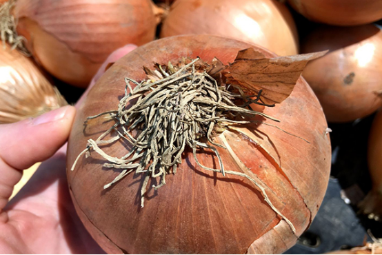 高血压患者平时饮食一定要少吃辛辣刺激、油腻的食物
