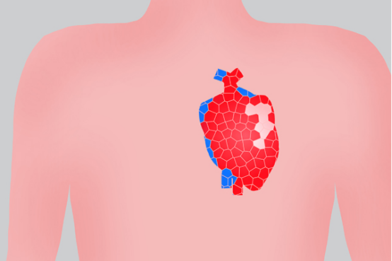 虽然做心脏造影，需要开一个创口，但操作得当，危险是不大的