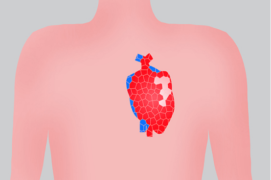 心脏供血不足的人，生活习惯上需要做很大的改变