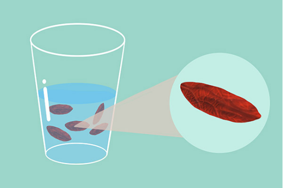 枸杞内含有丰富的营养物质以及身体所需的微量元素