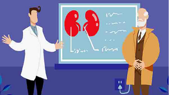 尿素氮高的原因是肾功能不全引起的