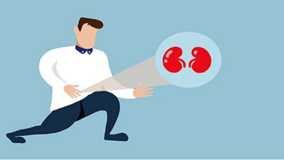 肾结石危害了人们的健康，肾结石轻者没有明显的症状