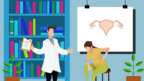 女性来月经的时间及月经量主要是跟卵巢有关