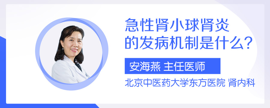 急性肾小球肾炎的发病机制是什么