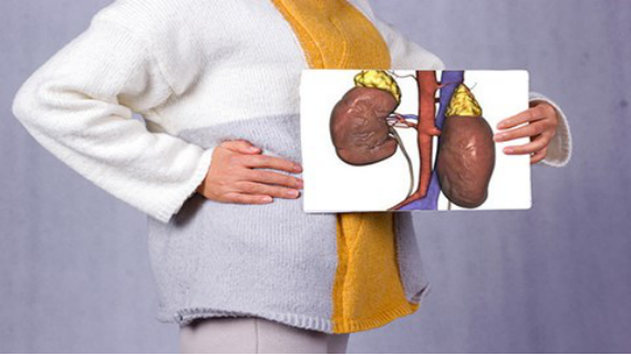 糖皮质激素作用是维持身体中血糖浓度保持在正常范围内 糖皮质激素作用是维持身体中血糖浓度保持在正常范围内