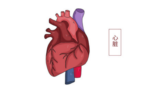 心内膜炎是一种病毒感染引起的炎症