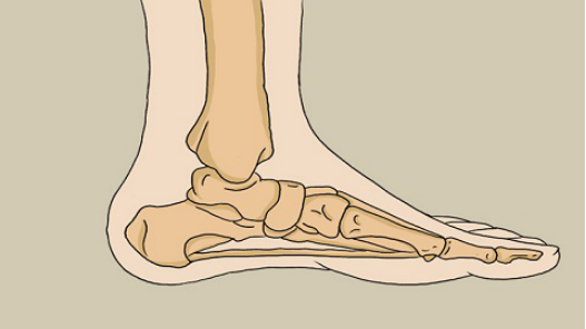 由于外物的撞击,左脚第二个脚趾的肌肉组织受到损伤,关节的错位或者是