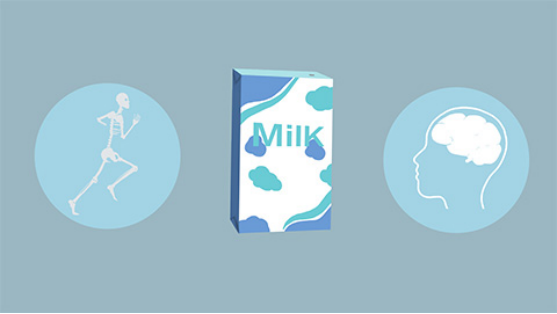 爱美人士在减肥的时候，其实是可以喝纯牛奶的