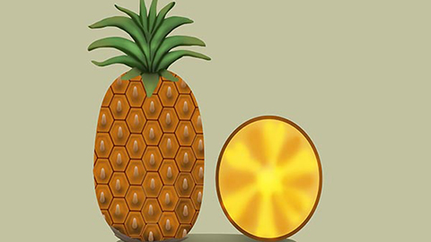 菠萝是营养非常丰富的水果，也是平时日常生活中最常见的水果之一