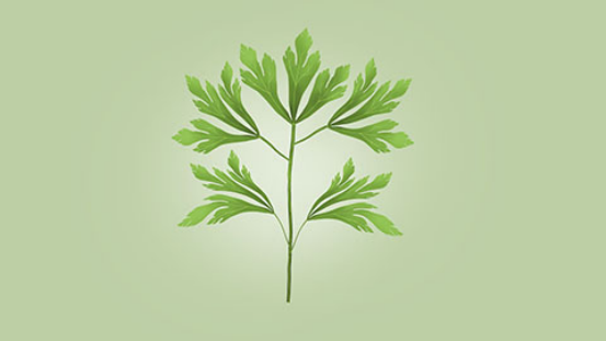 对于刚做完手术的患者，可以适量补充相应的营养