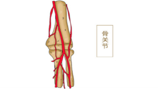 关节脱位后患者的患处会出现疼痛感