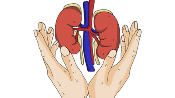 微小病变型肾病的病人会出现水肿的情况,但是水肿的位置往往不一样 微小病变型肾病的病人会出现水肿的情况,但是水肿的位置往往不一样